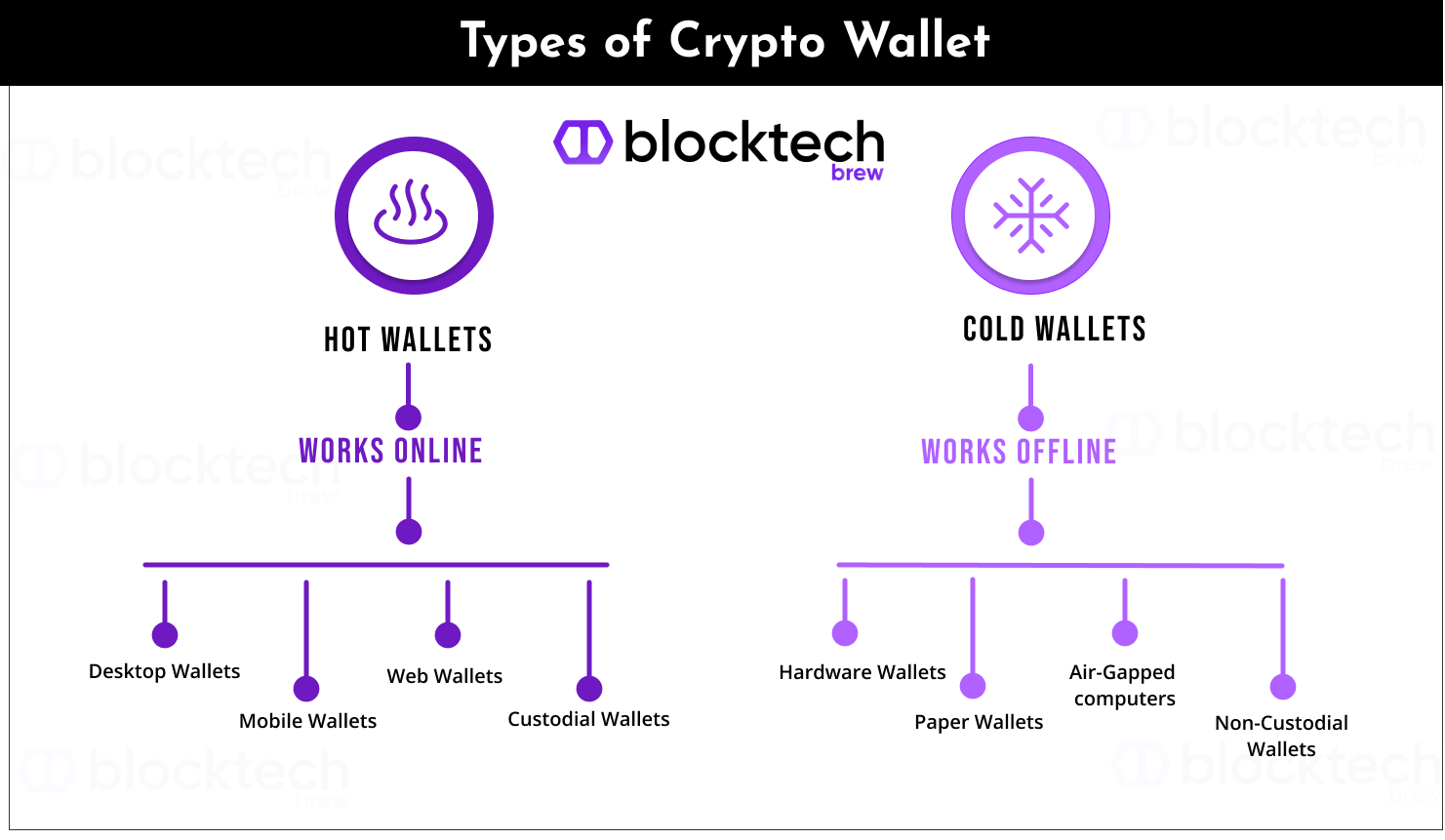 Types of Crypto Wallet