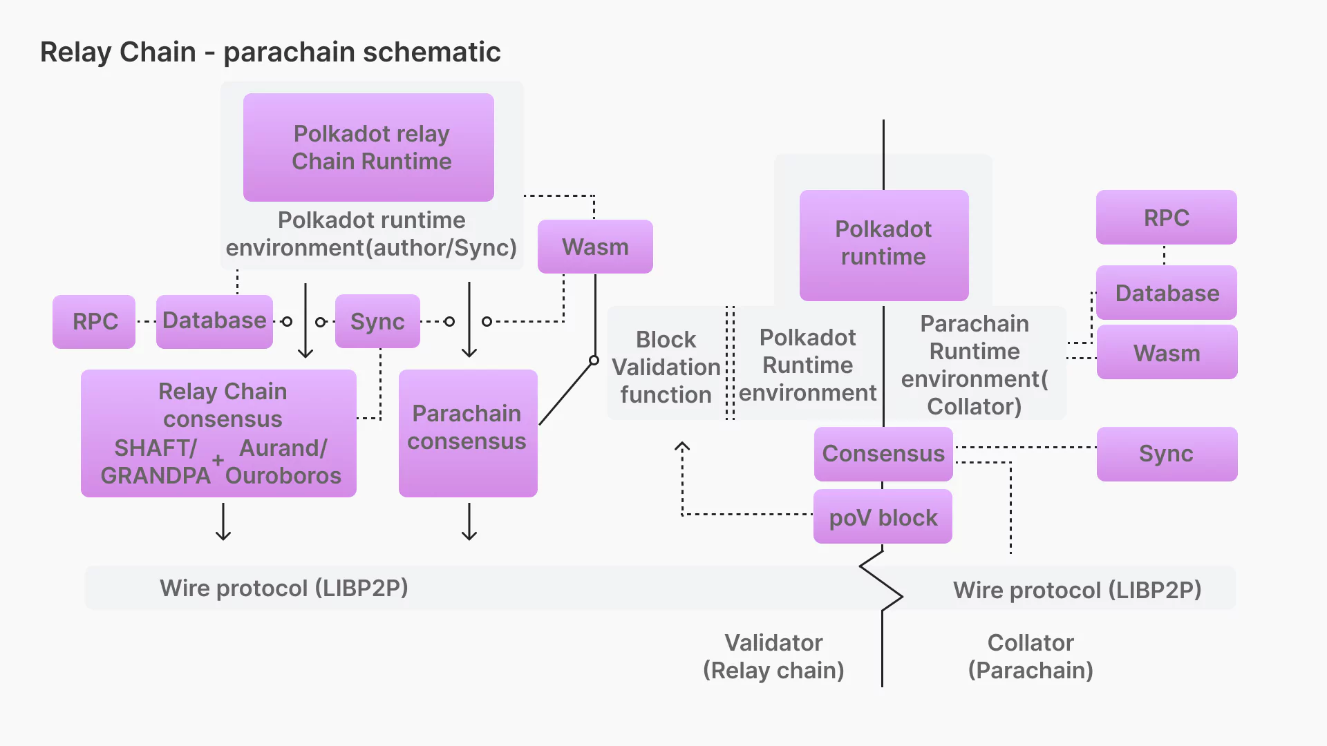 Blocktech Brew | Understanding Smart Contract Development On Multiple Blockchain Platforms