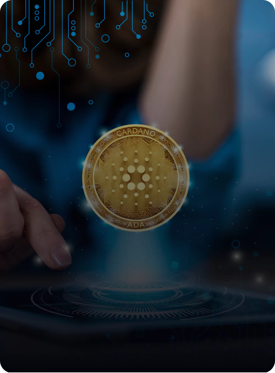 Crypto Wallet Development